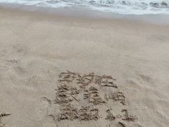 -贝壳梦幻世界