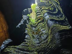 -梭布垭石林景区