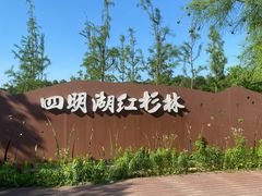 -四明湖
