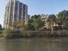 -运河游船(武林门码头)