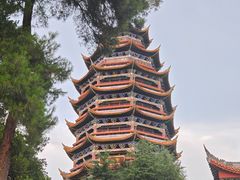 -铁山坪森林公园