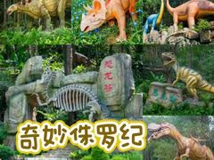 -森波拉奇妙世界