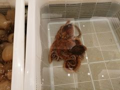 -白金汉爵大酒店(相城店)