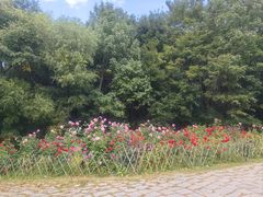 -香炉山国家森林公园