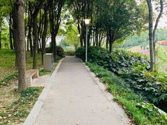 -美兰湖景区