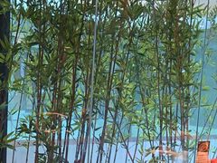 -爱碗亭·鲜炒湖南菜(壹城中心店)