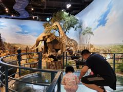 -陕西自然博物馆