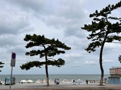 -威海国际海水浴场旅游区