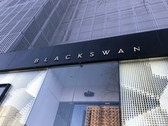 门面-BLACKSWAN黑天鹅(环球店)