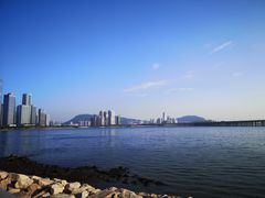 -宝安西湾红树林湿地公园