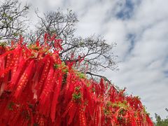-广州莲花山旅游区