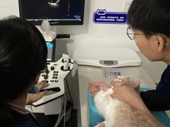 -拜鲁耶动物诊疗中心·宠家动物医院