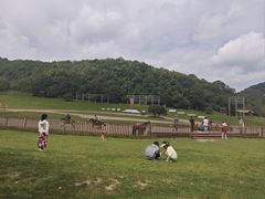 -大水川景区