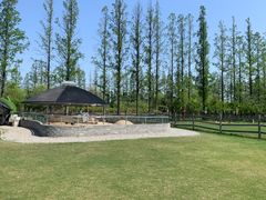 -前小桔亲子创意农场·草莓采摘·露营烧烤