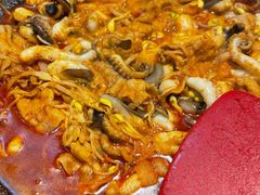 -红辣椒八爪鱼特色韩国料理