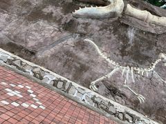 -哈尔滨北方森林动物园