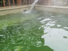 -思念果岭悦温泉