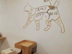 -有喵·猫咖·狗咖·30几只猫10只小狗(岗厦店)