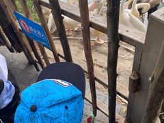 -深圳野生动物园