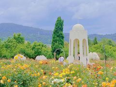 -名花谷生态庄园