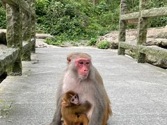 -姑婆山旅游区