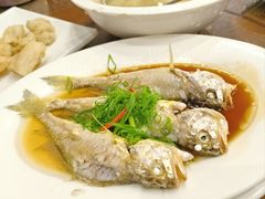 -长平肥姐白粥·海鲜打冷