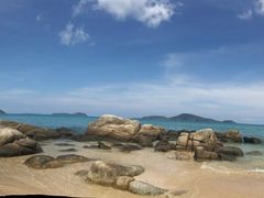 -珊瑚岛