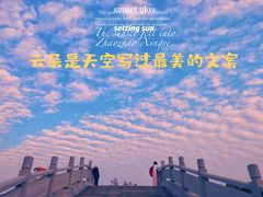 -映月湖公园