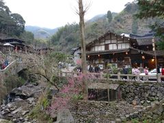 -林坑古村落