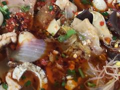 -芙蓉树下冒菜·麻辣烫(农院店)