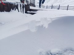 -祁连山·岗什卡雪峰景区