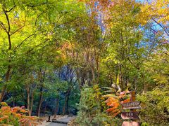 -云峰山自然风景区