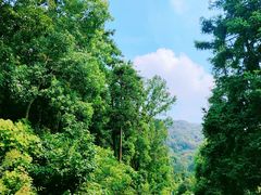 -南京老山国家森林公园