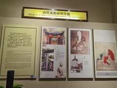 -中国茶叶博物馆(双峰馆区)