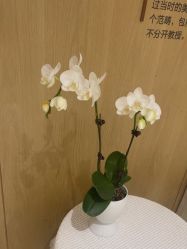 -广东韩妃整形外科医院