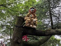 -秦岭天竺山生态文化旅游景区