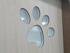 -宠颐生宠物医院外科·内科·皮肤科·影像科(石龙店)