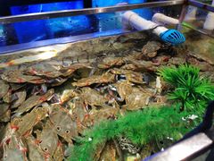 -V-ONE西雅图海鲜自助餐厅(仓山万达广场店)