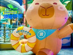 -合肥融创水世界
