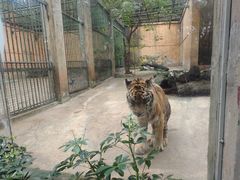 -柳州市动物园