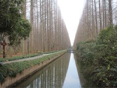 -上海怡沁园度假酒店