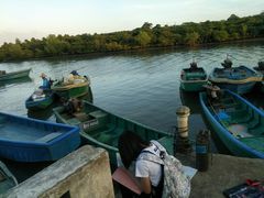 -东寨港红树林旅游区