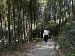 -莫干山风景区