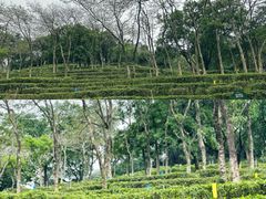 -广州市白云山风景名胜区