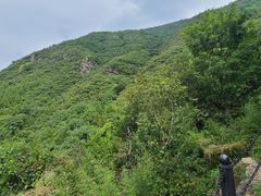 -北京十三陵国家森林公园蟒山景区