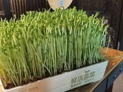 活豆苗-湊湊火锅·茶憩(上海合生汇店)
