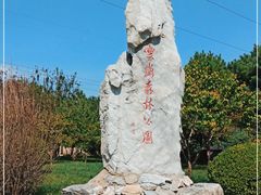 -云岗森林公园