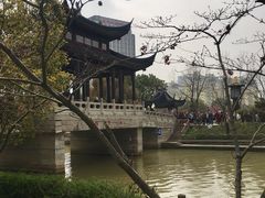 -枫桥景区