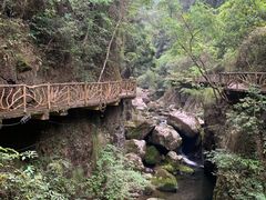 -永泰中国云顶