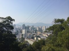 -金鸡山公园